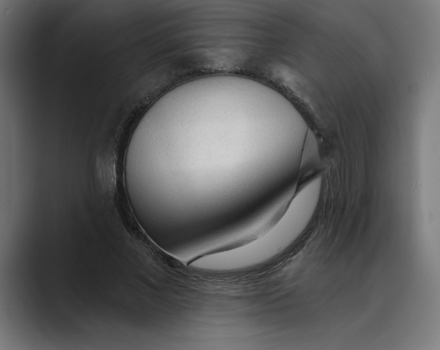X0000089340685200706291002