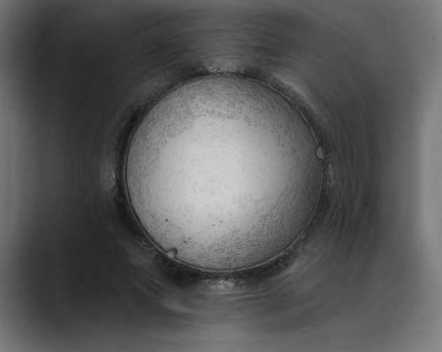 X0000089340687200706291002