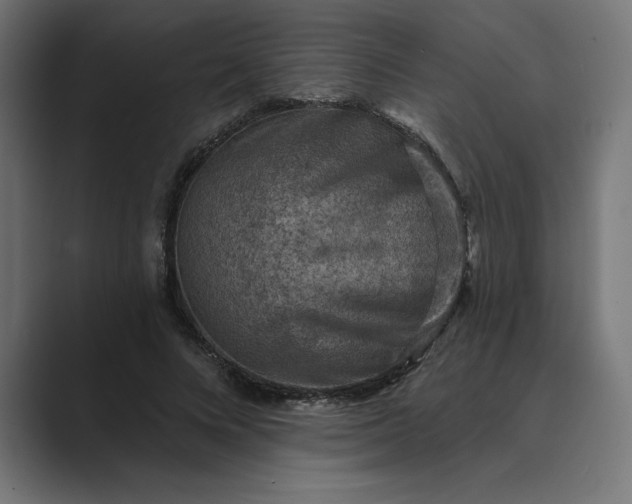 X0000089340688200706291002