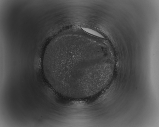 X0000089340689200706291002