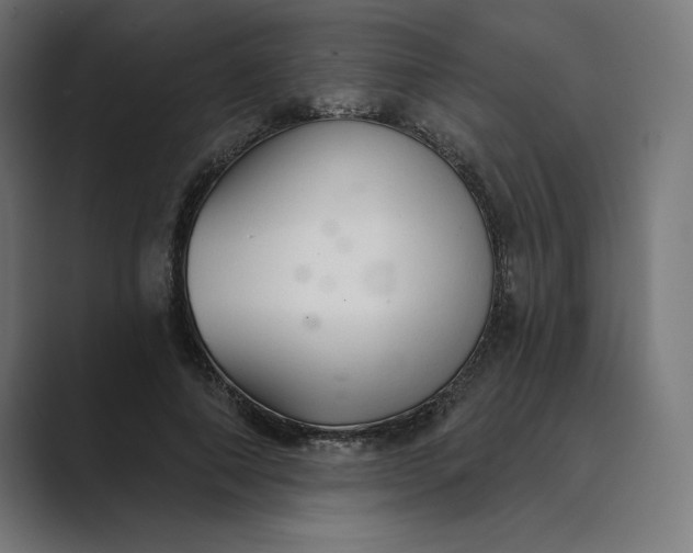 X0000089340690200706291001