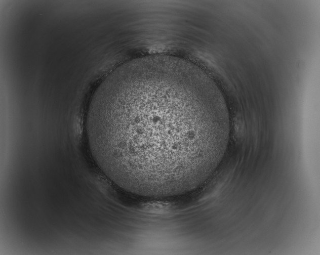 X0000089340691200706291001