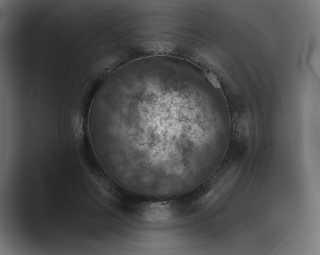 X0000089340692200706291001