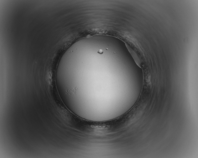 X0000089340693200706291001