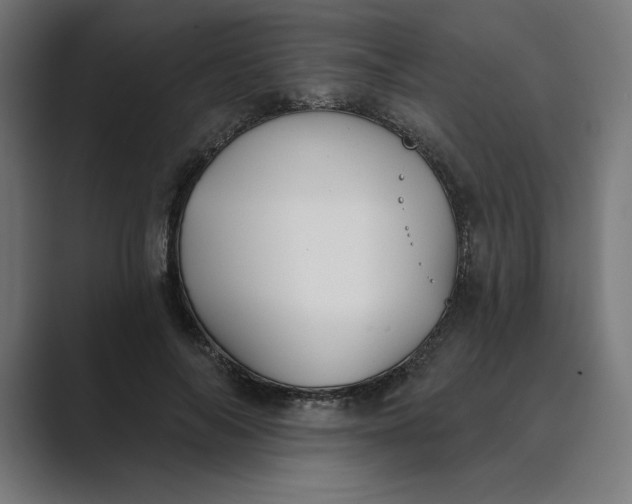 X0000089340694200706291001