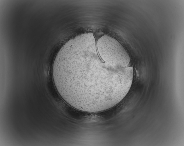 X0000089340695200706291001