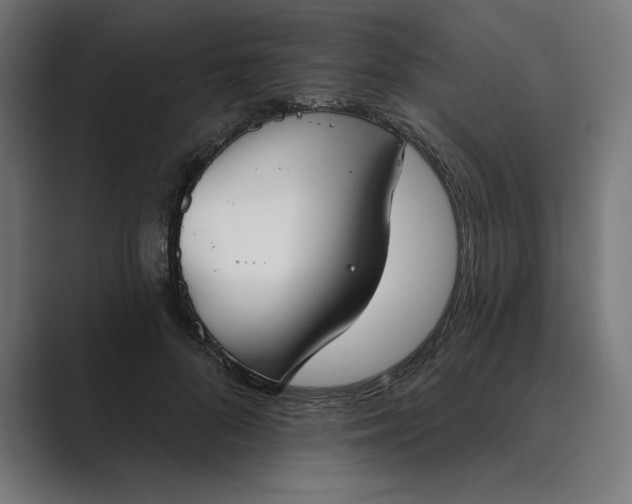 X0000089340696200706291001