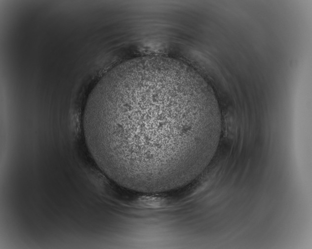 X0000089340699200706291001