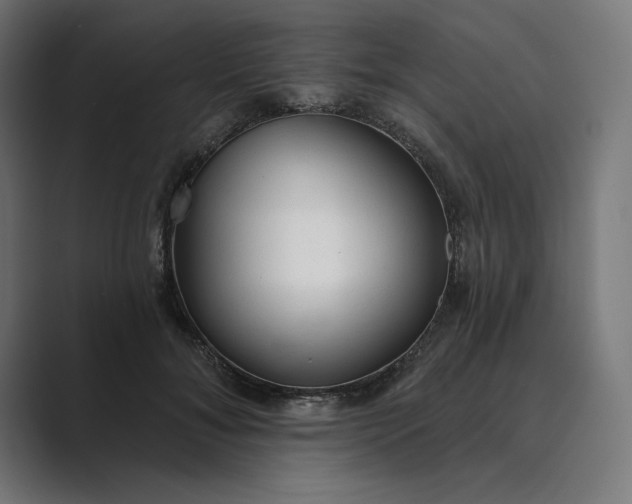 X0000089340700200706291001