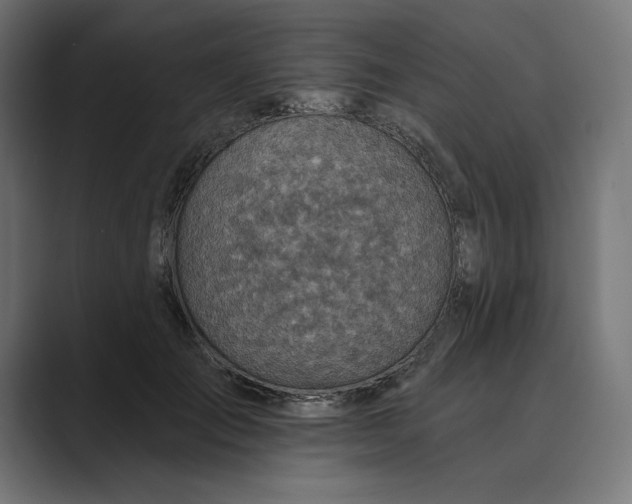 X0000089340701200706291001