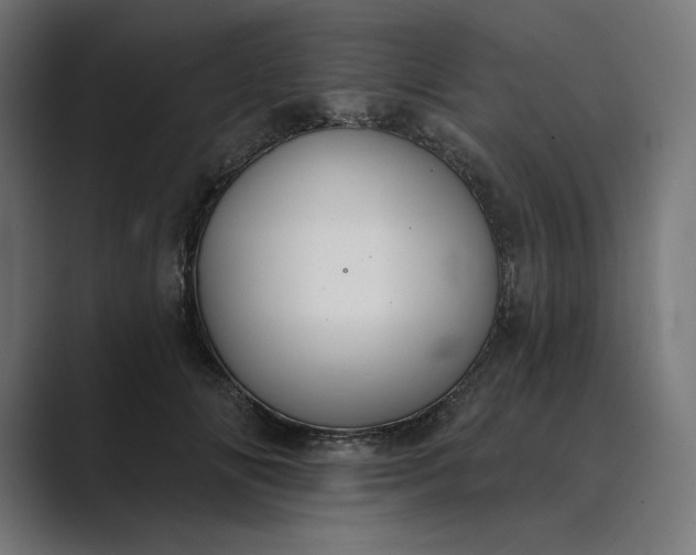 X0000089340702200706291001
