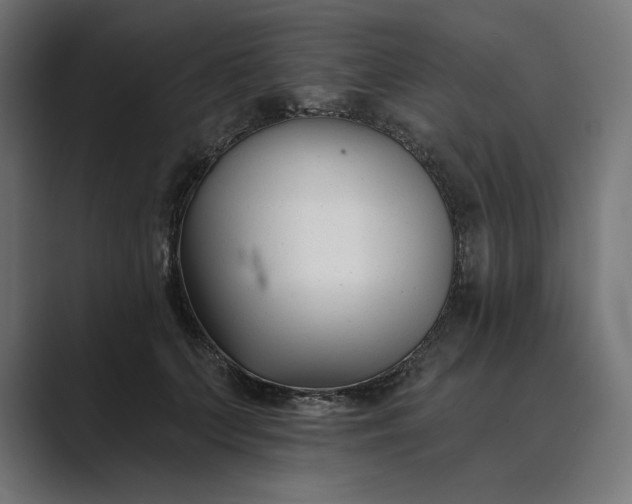X0000089340703200706291001