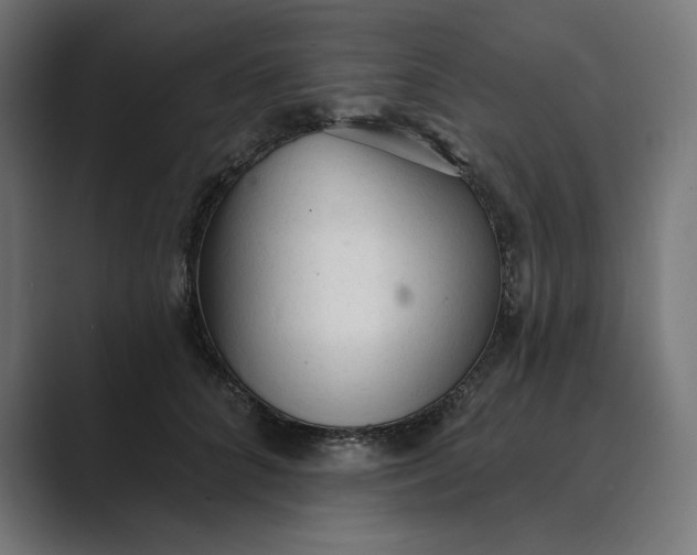 X0000089340704200706291001
