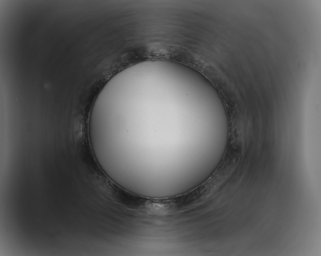 X0000089340706200706291001