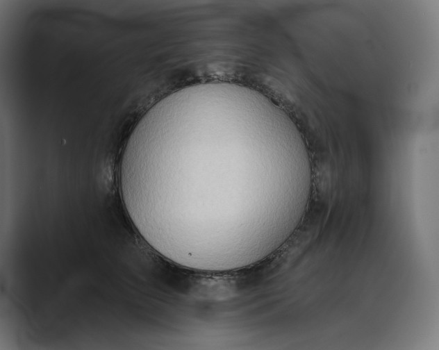 X0000089340709200706291001