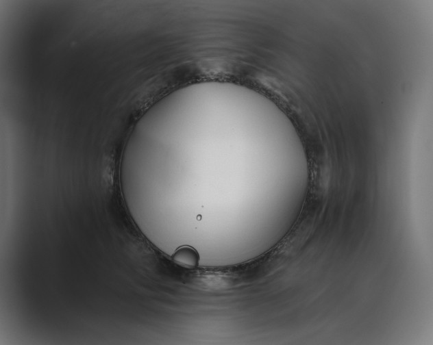 X0000089340710200706291001