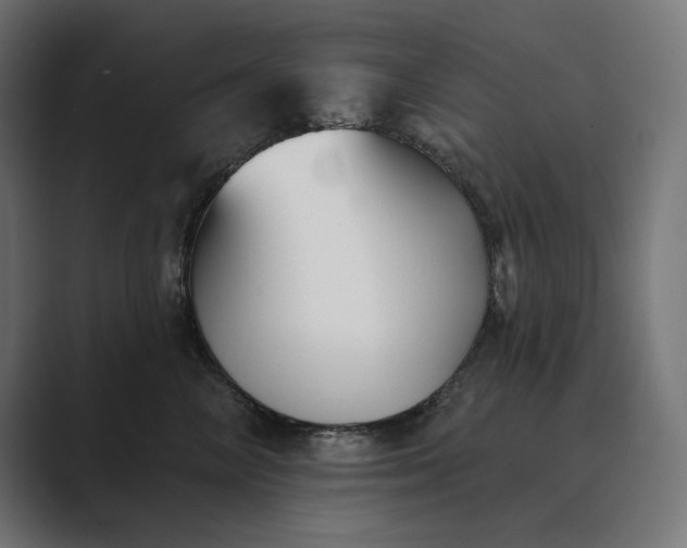 X0000089340714200706291001