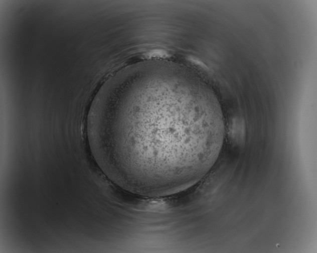 X0000089340715200706291001