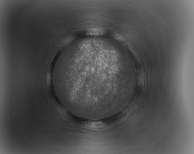 X0000089340716200706291001