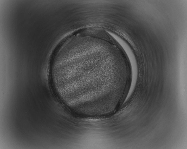 X0000089340724200706291001