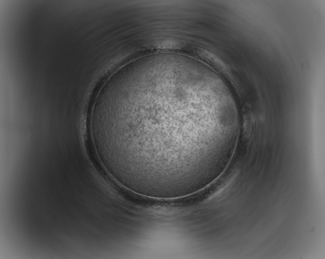 X0000089340725200706291001