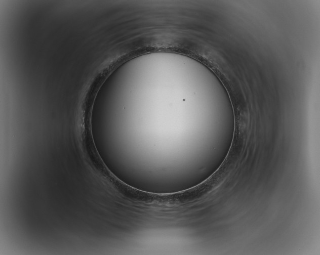X0000089340727200706291001