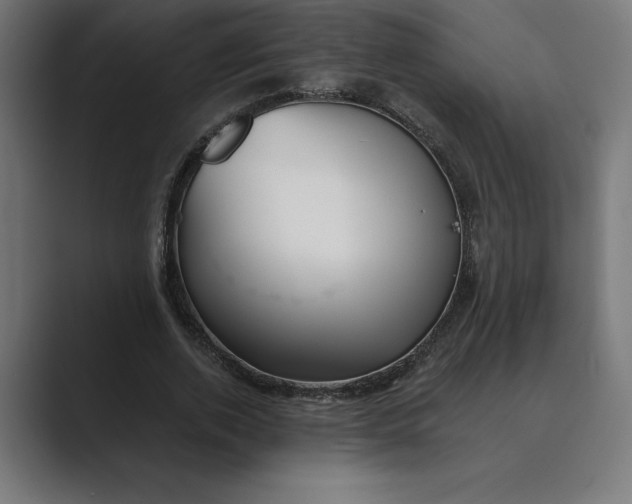 X0000089340728200706291001