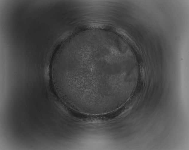 X0000089340729200706291001