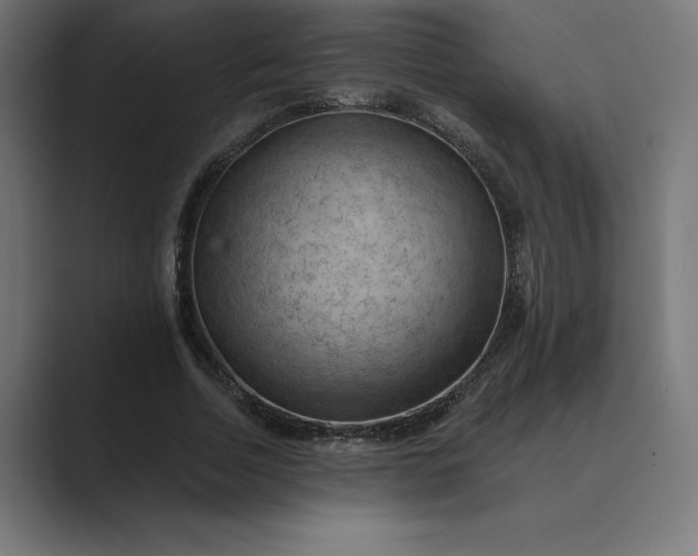 X0000089340730200706291001