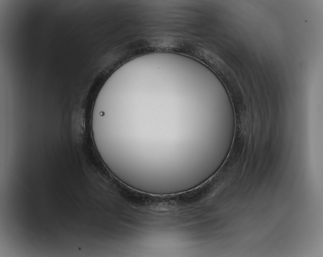 X0000089340731200706291001