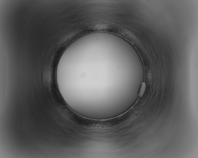 X0000089340732200706291001