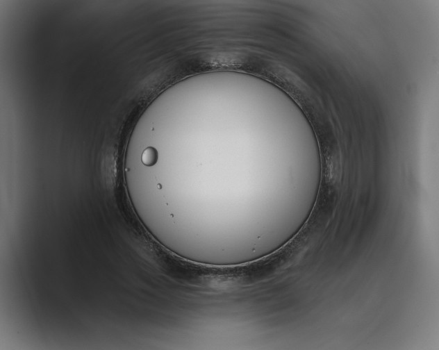 X0000089340733200706291001