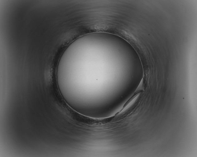 X0000089340735200706291001