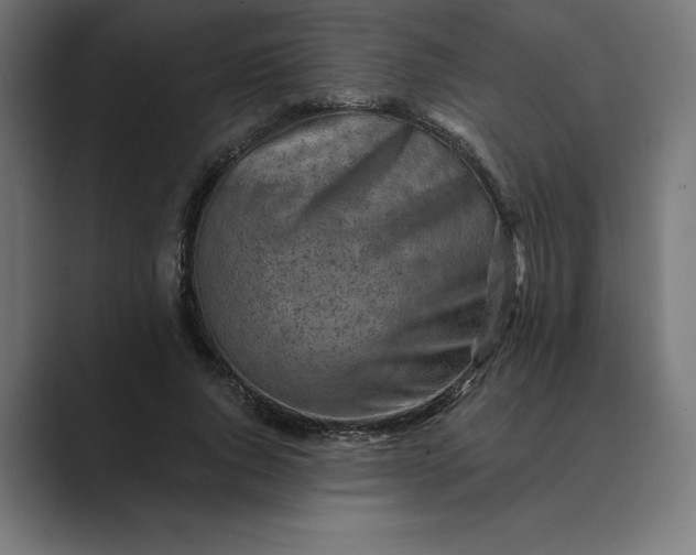 X0000089340736200706291001