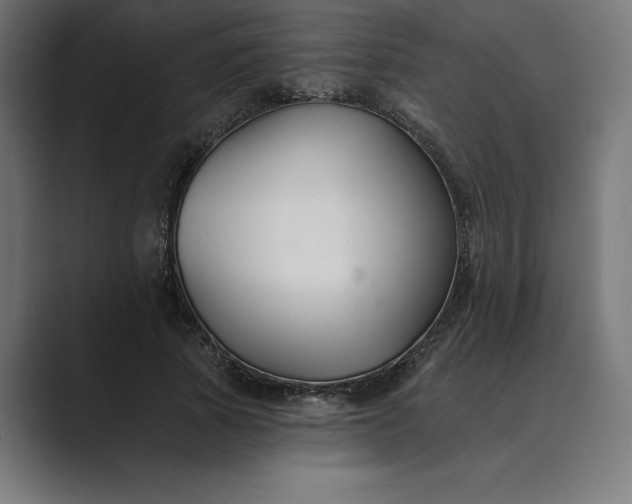 X0000089340737200706291001