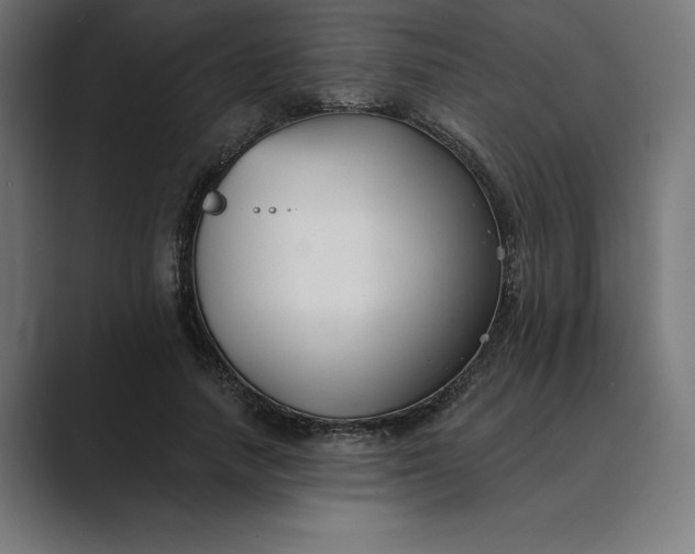 X0000089340738200706291001