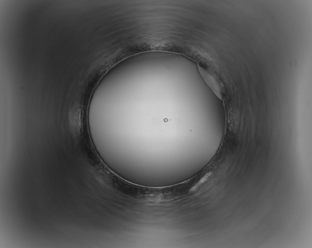 X0000089340740200706291001