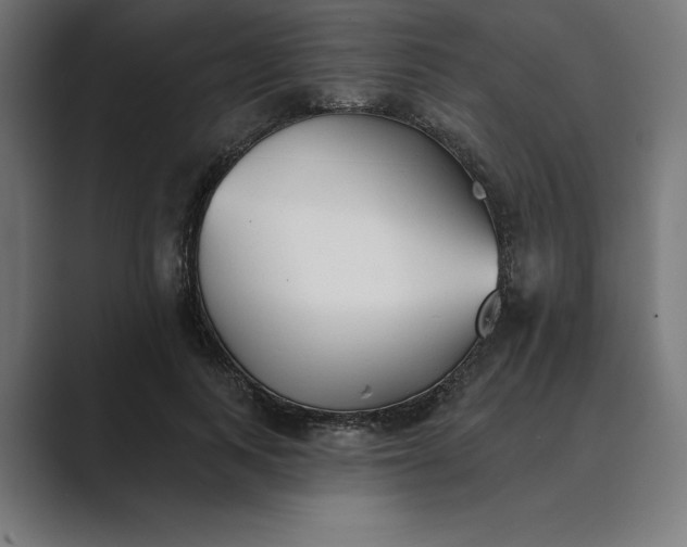 X0000089340743200706291001