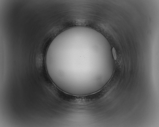 X0000089340744200706291001