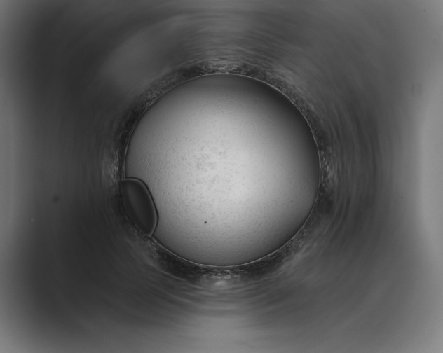 X0000089340745200706291001