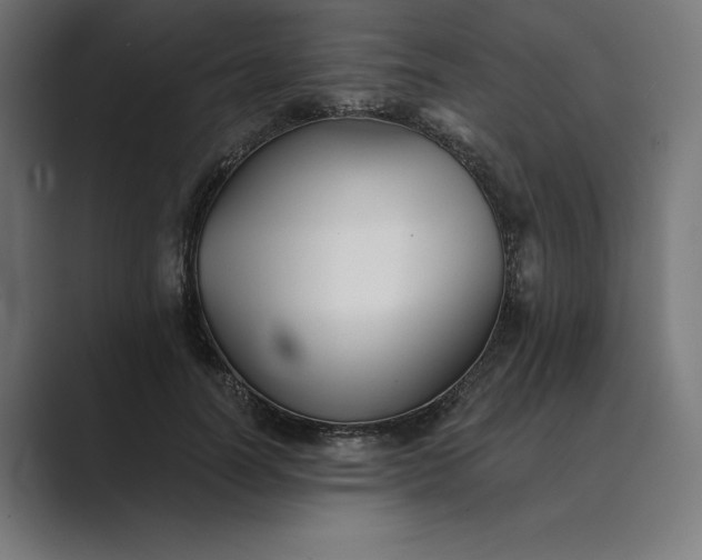 X0000089340746200706291001