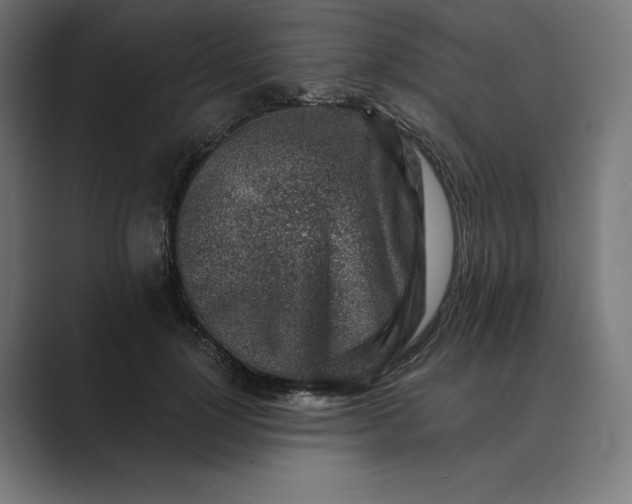 X0000089340748200706291001