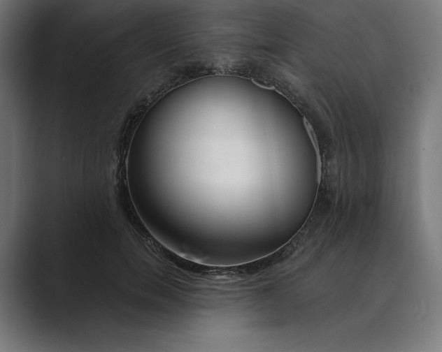 X0000089340750200706291001