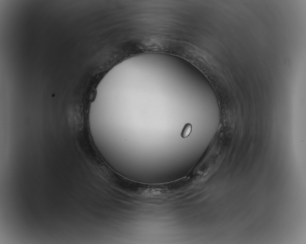 X0000089340751200706291001
