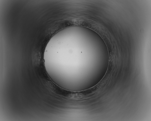 X0000089340752200706291001