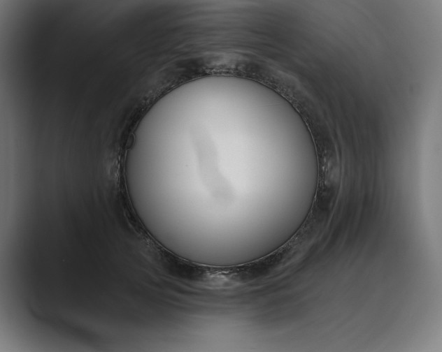 X0000089340753200706291001