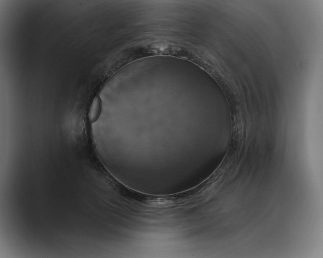 X0000089340754200706291001