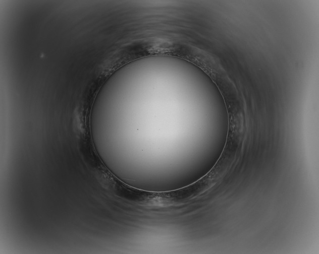 X0000089340755200706291001