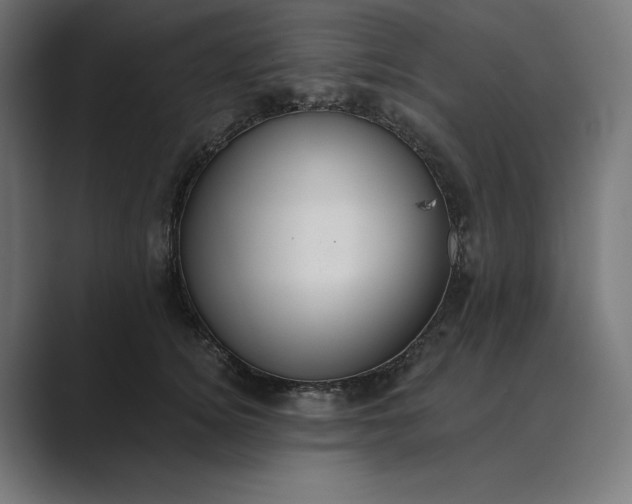 X0000089340756200706291001