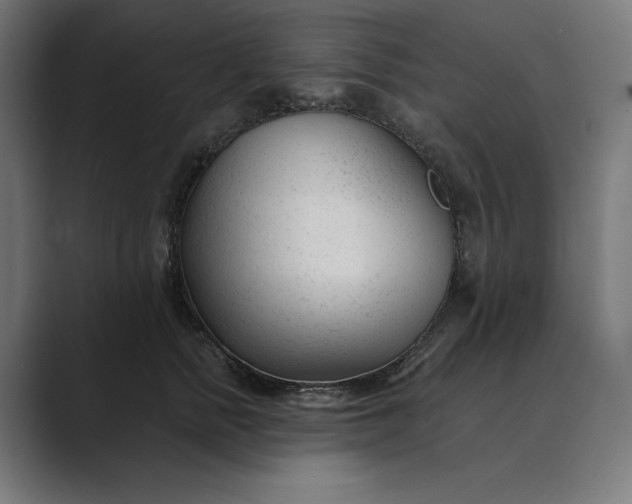 X0000089340758200706291001